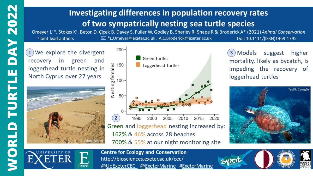 We’re celebrating #WorldTurtleDay by reviewing our turtle publications from the last year. 7 of 8: @LucyOmeyer investigated the differences in population recovery rates of two sympatrically nesting sea #turtle species. Read the paper in our blog👇 blogs.exeter.ac.uk/exetermarine/?…