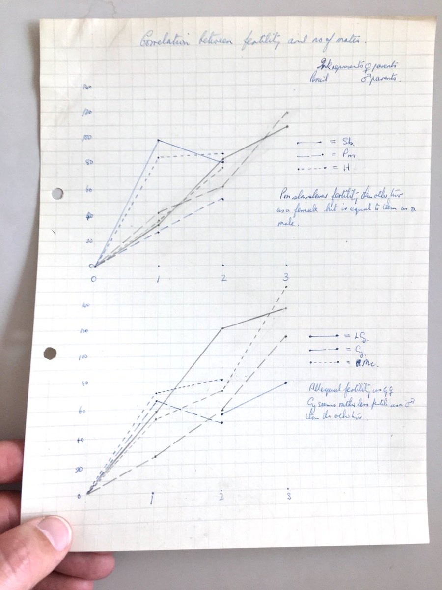 More than thrilled to hold Bateman’s handwritten notes of his classic experiment on #sexualselection in #drosophila in my hands. Trembling hands!
 
Reassessing recent reassessments. Are his data really inconsistent with his principles?