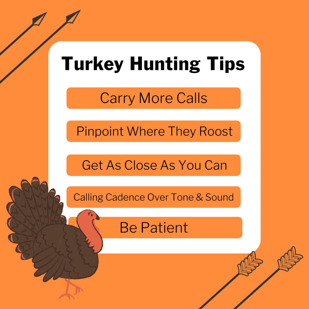 Prairie Archery tweet media