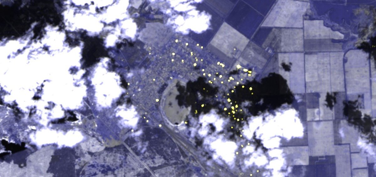 Military Intelligence tweet media