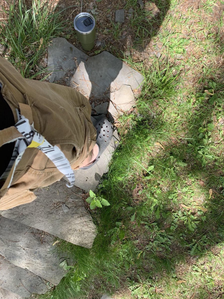 SeagerTrey's tweet image. #mondaymorningproblems #carryingdrywall