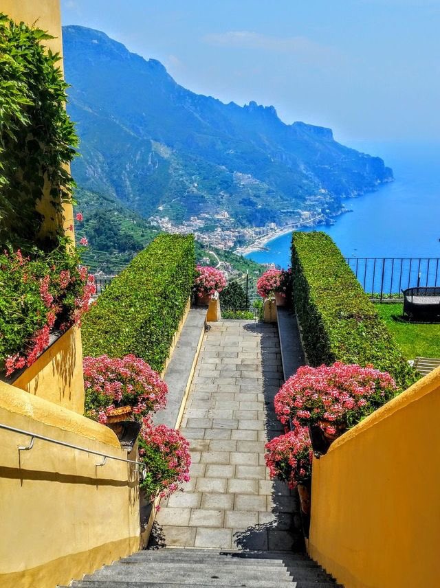 Shelby🌲🌳🌲 tweet media