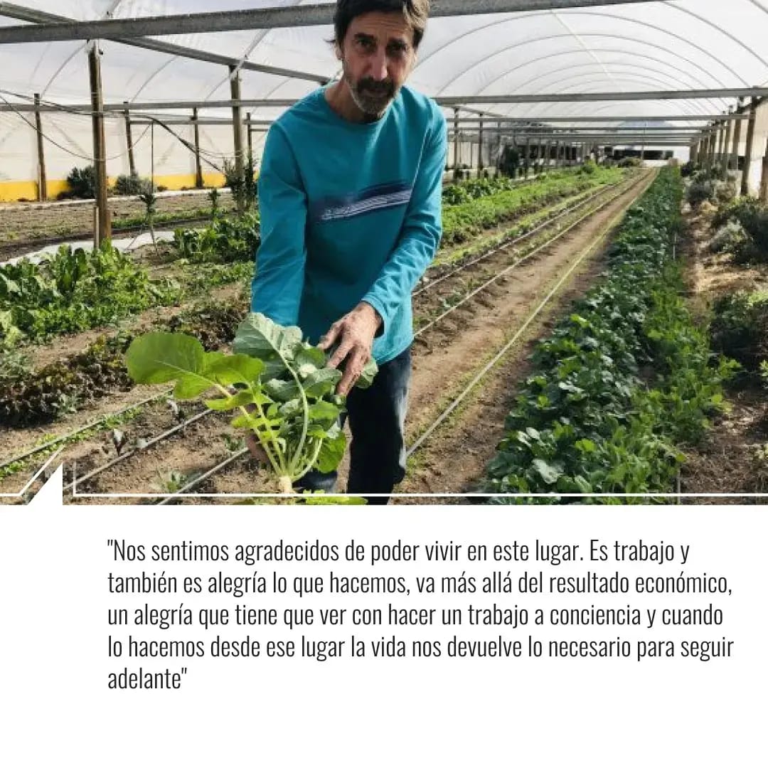 Irrompibles4's tweet photo. ¡TENES TIEMPO HASTA MAÑANA AL MEDIODIA PARA HACER TU PEDIDO! ⌛️

Súmate a una propuesta de construcción solidaria ♻️, donde hay un pago justo para lxs productores y los diferentes actores de la cadena 🤝, a fin de lograr precios accesibles, respetando al ambiente 😊. 
🥦🥑🍊🍎 https://t.co/43Zqx164oK