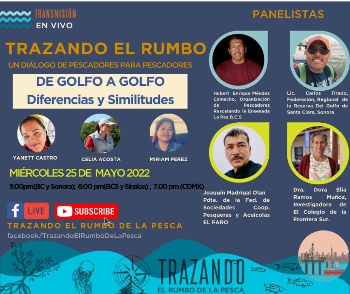Asi como pescado o marisco se prepara con diferente receta🙄
Cada comunidad pesquera debería ser atendida de acuerdo a sus necesidades.
En nuestro en vivo de mayo lo platicaremos, estan cordialmente invitados.
#TrazandoElRumboDeLaPesca