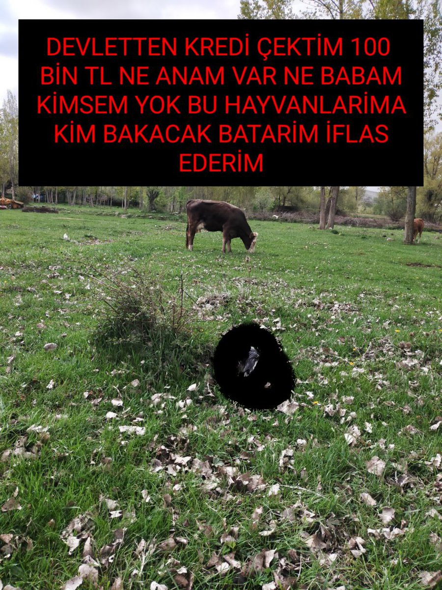 ReisÇözüm GenelAF.                               Cumhurbaşkanlığı Kabinesi🇹🇷