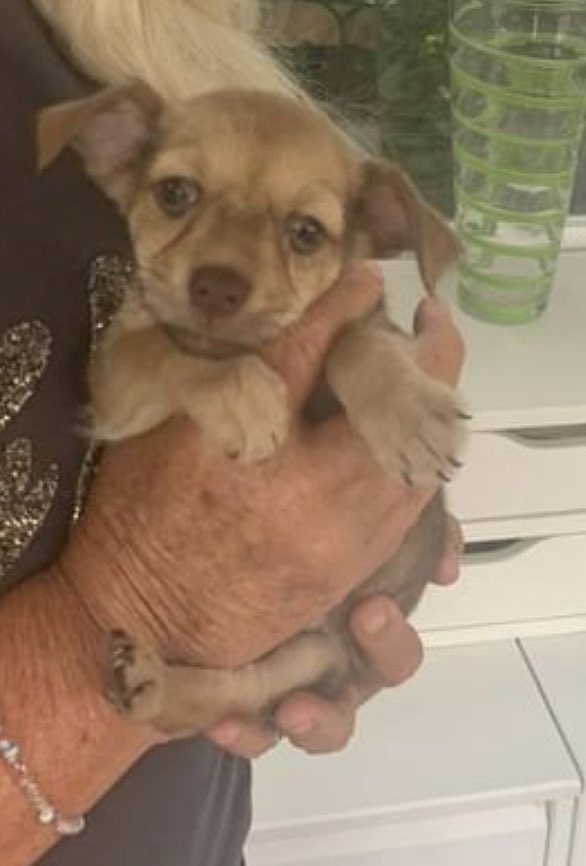 Martine M 🌱💚 tweet media