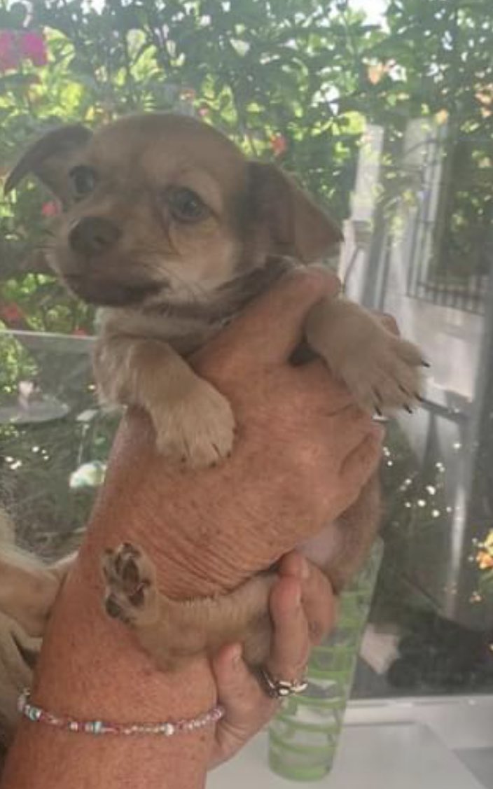 Martine M 🌱💚 tweet media