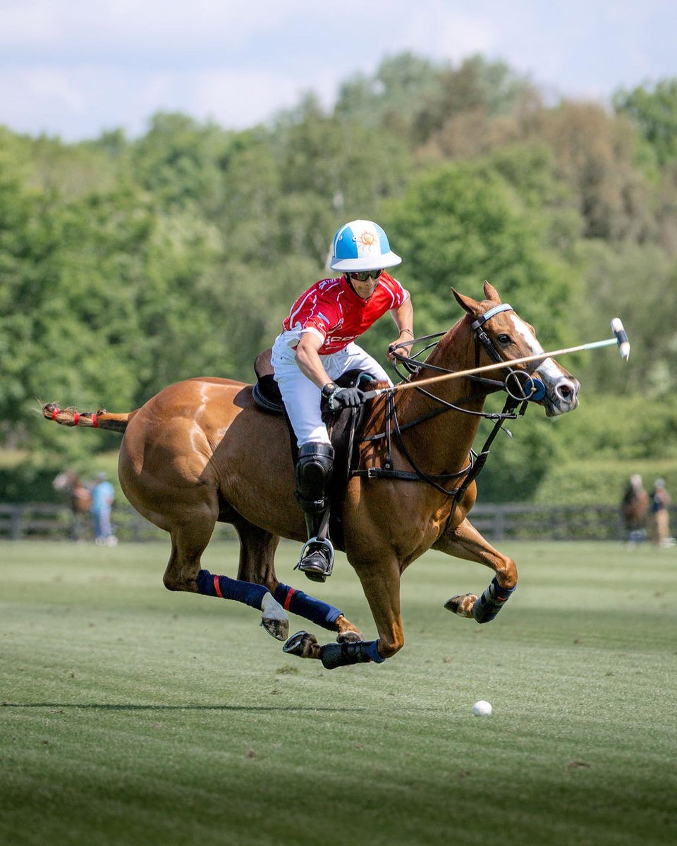 GAUNTLETOFPOLO's tweet photo. #repost Helen Cruden
⁠
| DOLFINA MEDALLITA 🇦🇷| Poroto Cambiaso for Scone 🇦🇺 Queen’s Cup 2022 ✨⁠

Watch LIVE via @globalpolotv
⁠
📸: Helen Cruden
#gauntletofpolo https://t.co/ElyRwOOtlc