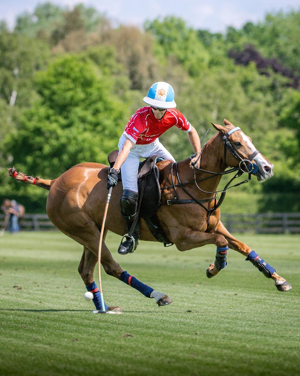 GAUNTLETOFPOLO's tweet photo. #repost Helen Cruden
⁠
| DOLFINA MEDALLITA 🇦🇷| Poroto Cambiaso for Scone 🇦🇺 Queen’s Cup 2022 ✨⁠

Watch LIVE via @globalpolotv
⁠
📸: Helen Cruden
#gauntletofpolo https://t.co/ElyRwOOtlc