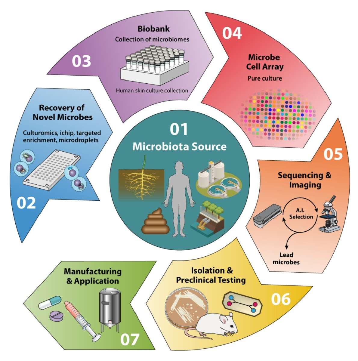 ASMicrobiology's tweet photo. The #microbiome is an untapped resource for microbes with therapeutic potential. How can we identify candidates within the community? This #IAIJournal review discusses the past, present &amp; future of discovering therapeutic microbes: https://t.co/7YLeJaCPq1
#MicrobiologyMonday https://t.co/oNoFjJLIfr