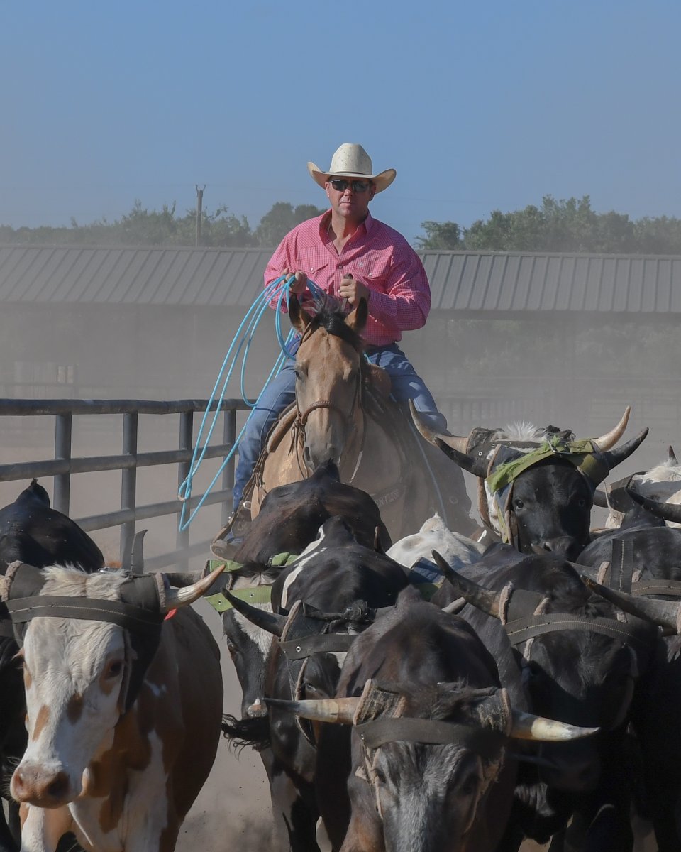 How many times do you think Trevor has ran the steers up in his arena?💪🏼
#bRelentless #firstswing #conquerwithcactus
