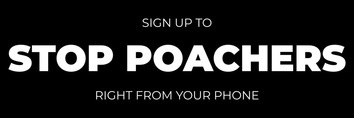WildlifeProSo's tweet photo. Click the link below to sign up and stop poachers with your phone.

🦏🦍🐘🐅🦒

— You'll be able to see behind the scenes with hidden camera traps of our many wildlife reserve partners who are struggling with an increase in poaching.

https://t.co/Nh3PzgeQYS https://t.co/urtYagEo2m