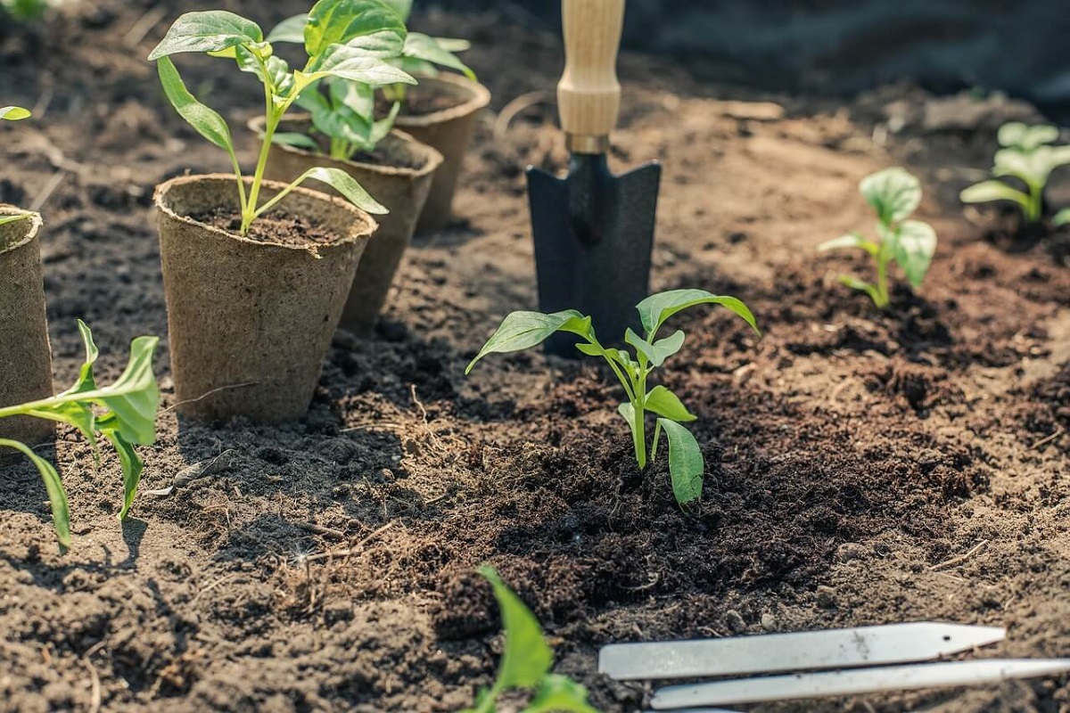CicloVivo's tweet photo. Paranaenses ganham #APP para pedir mudas de #plantasnativas - Aplicativo #ParanáMaisVerde facilita o acesso #gratuito às #mudas produzidas nos #viveiros públicos
https://t.co/DZTwiXkRAu https://t.co/ZGvoyCGvg5