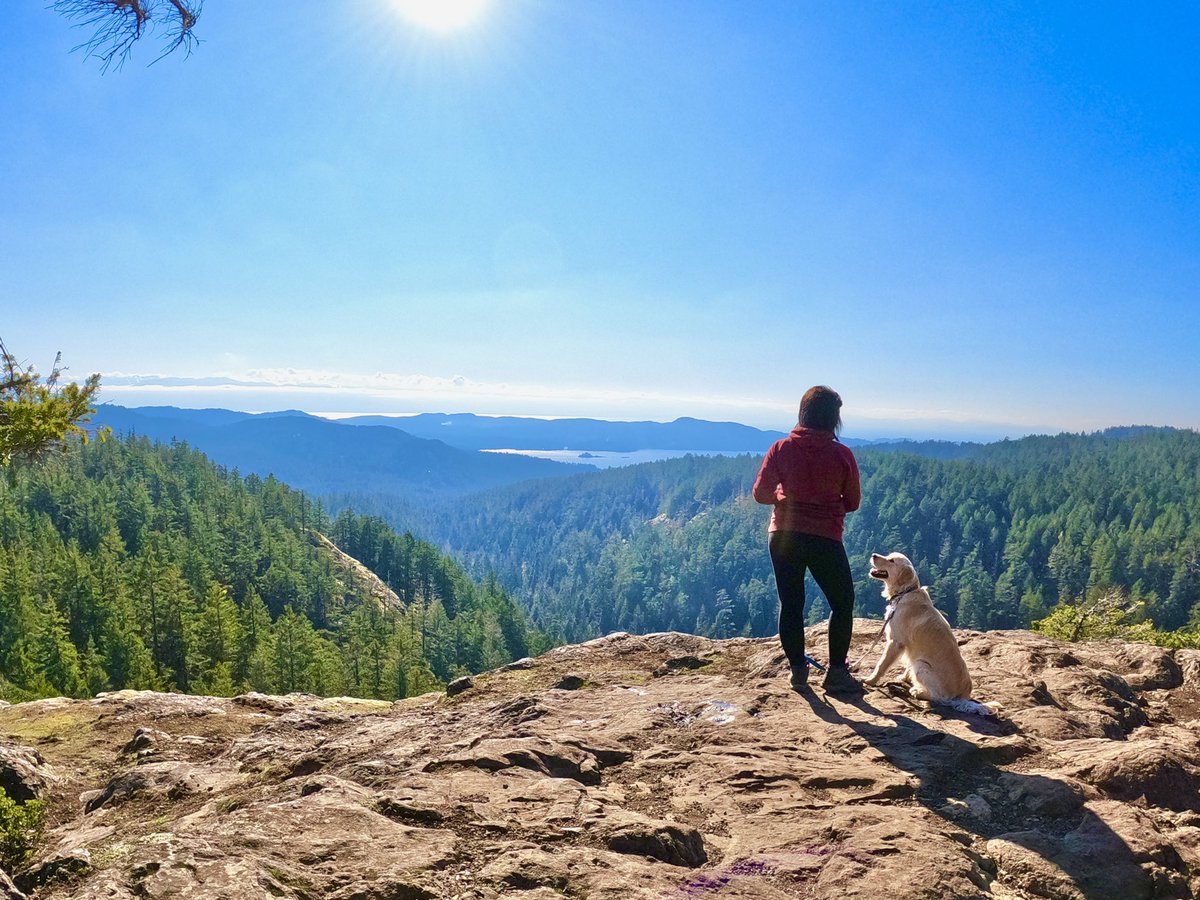 Happy Victoria Day! Hope you all had a great weekend ☺️ #sugarloaf #sookehills #hikingadventures #GoldenRetrievers #BestFriend #victoriabc #travelbc #VictoriaDayWeekend #sarahwhite