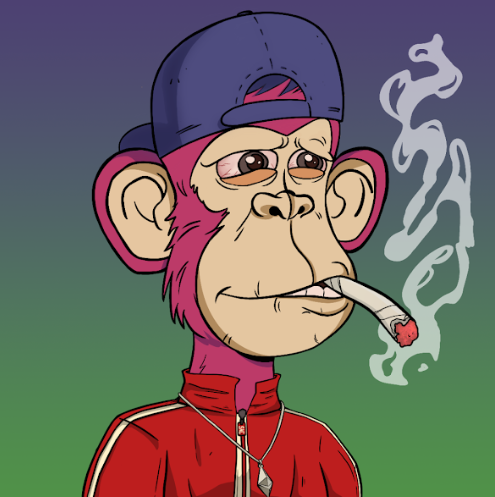 Sherdo17NFT's tweet photo. @RaritySniperNFT @TheStonerApes is hitting new highs this year! whilst being high! hi 👋 - @TeamSativaSAC lets raid ! #SACPAC #SACLIFE https://t.co/67LpLddCis
