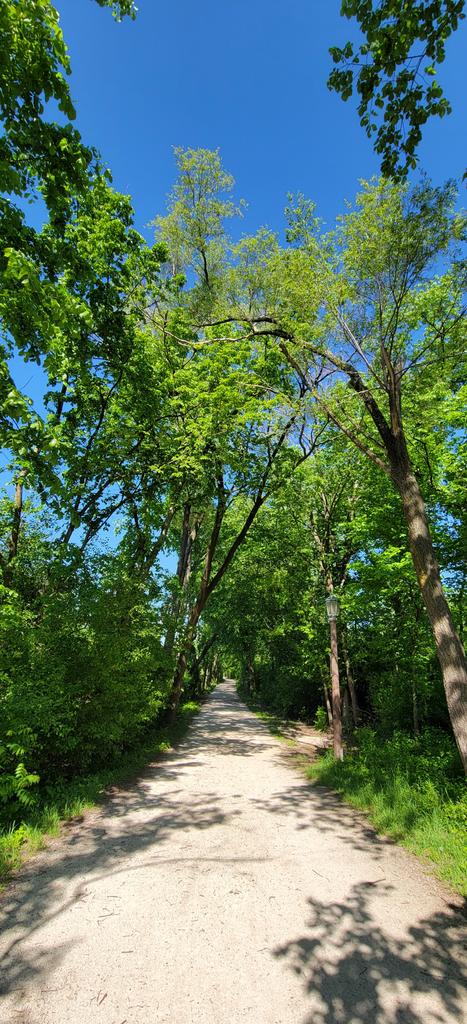 LynnKrizic's tweet photo. Happy Monday! Quick 2 mile run to start the day. #MondayMotivation #runner #runningchangeseverything #runchat #prairiepath https://t.co/HJAJeYbWnN
