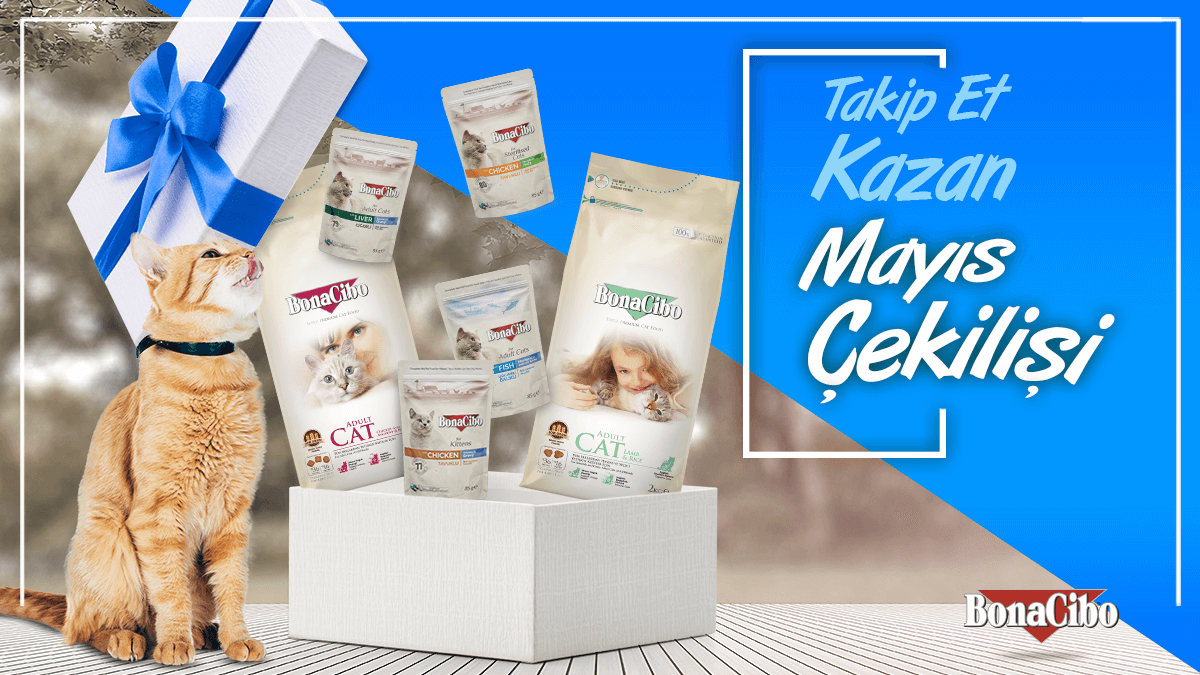 #BonaCibo Mayıs Çekilişi 🌻

Hesabımızı takip et gönderimizi retweetle ve bir arkadaşını etiketle ✔️

4 kg kuru kedi maması ve 12'li poşet yaş kedi maması kazanacak 5 şanslı kişiden biri olma fırsatı yakala 😉⁠

Sonuçlar 2 Haziran Perşembe günü açıklanacaktır. 😉