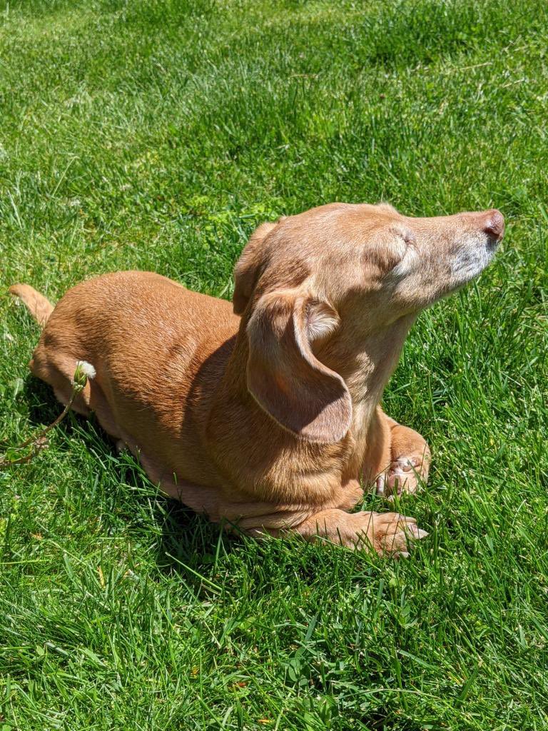 Club Lulu tweet media