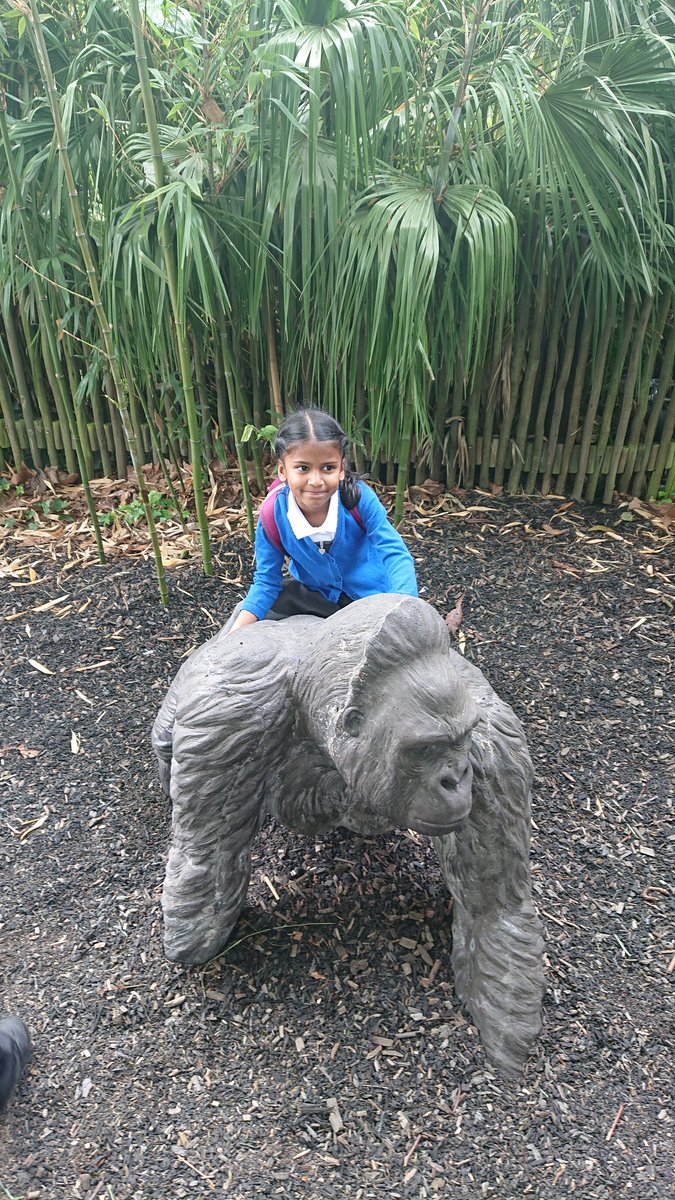 Cyril Jackson Reception tweet media