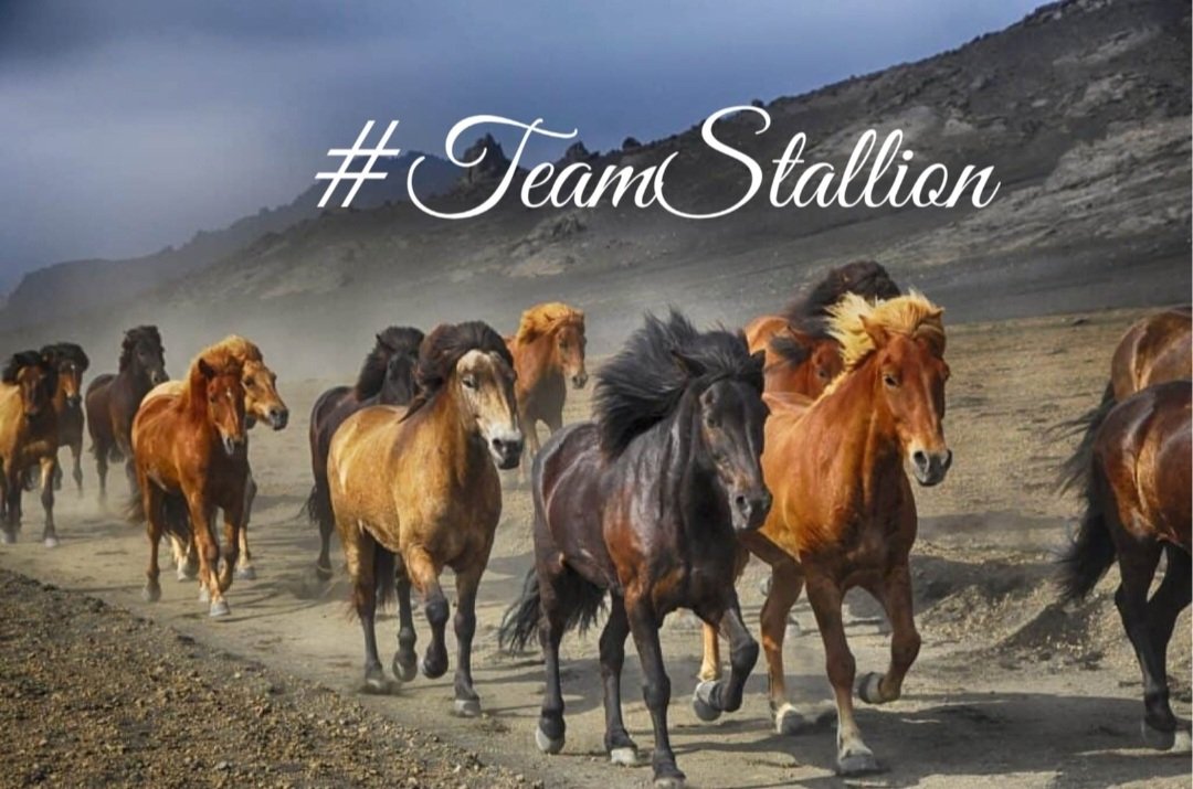#TEAMSTALLION

<a href="/italianostyle2/">Frankie D....TEAMSTALLION</a>
<a href="/HARRYS1DEMPIRE/">TAHNEE 👑🇲🇽🇺🇸</a>
<a href="/FlorMeninnaa/">Regina Dua Lipa Brasil</a>
<a href="/MarEthr/">👉 Mark 28K 😜👇</a>
<a href="/doc_mazz/">Doc Mazz-Frankie</a>
@Nazia_fb
<a href="/r95731/">💓 s a R a v 💓 🇮🇳मेरा भारत महान🇮🇳 🥰100 K+🥰</a>
<a href="/DianeDaQueen/">🌹Diane🌹</a>
<a href="/AbidinBoryta/">🕋𝓐𝓫𝓲𝓭𝓲𝓷 𝓑𝓸𝓻𝔂𝓽𝓪 🇮🇩</a>
<a href="/zaizul_abidin/">𝓚𝓾𝓵𝓲 𝓓𝓪𝓹𝓾𝓻 👨‍🍳</a>
<a href="/LourdesPass/">🩷༺ 𝕷𝖔𝖚𝖗𝖉𝖊𝖘 ༻🩷</a>
<a href="/tnmuda/">Tn Muda</a>
@Spirited_1o
<a href="/R3_Adv/">JarodKOPI🇮🇩</a>
<a href="/luisalarosa/">Luisa🌹</a> <a href="/Luisa1Queen/">.•° ✿ °•. LuisaElena ꧂🌹</a>

<a href="/ginestarros/">SuperGina♥️💚♥️</a> <a href="/ginaaaaa24/">SuperGina♥️💚♥️</a>

<a href="/Siogo61/">@siogo61</a> <a href="/bluea125/">BlueA125</a>
<a href="/BrettMGWV/">brett</a> <a href="/MarcelaErcia/">🕉MARCE🐉⚖ #MarceTeAyuda🔮#JesúsCambióMiVida✝</a>
