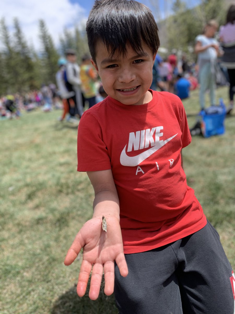 Matthew Abramowitz tweet media