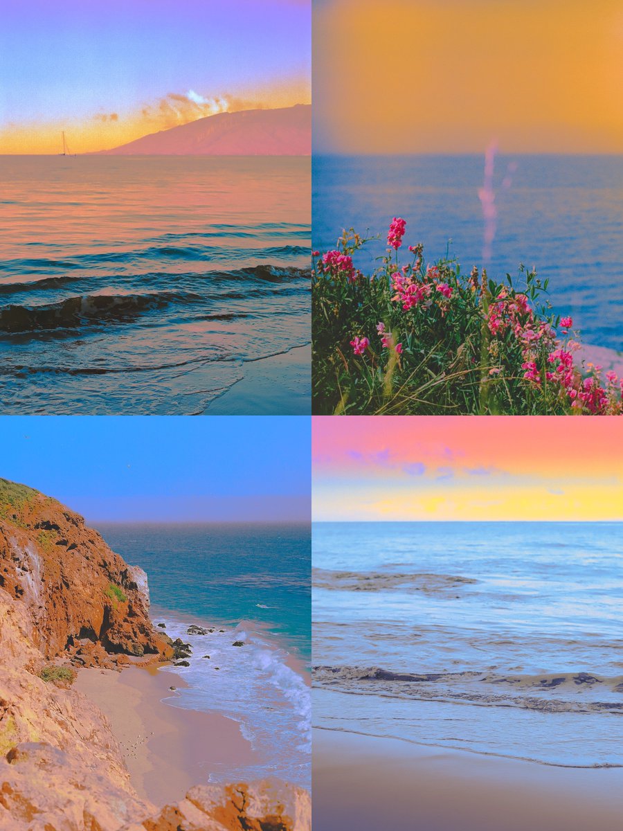 s a i g e ✨ tweet media