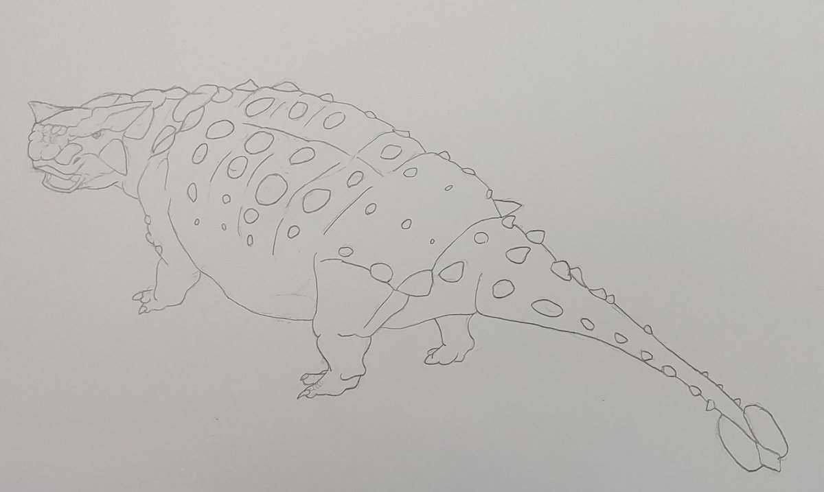 アンキロサウルス（下書き）
久しぶりの絵、やっぱ描くのたのしい
#恐竜 #鎧竜 #曲竜類 #アンキロサウルス
#Ankylosaurus #描いてみた https://t.co/UXDeIGLX8r.