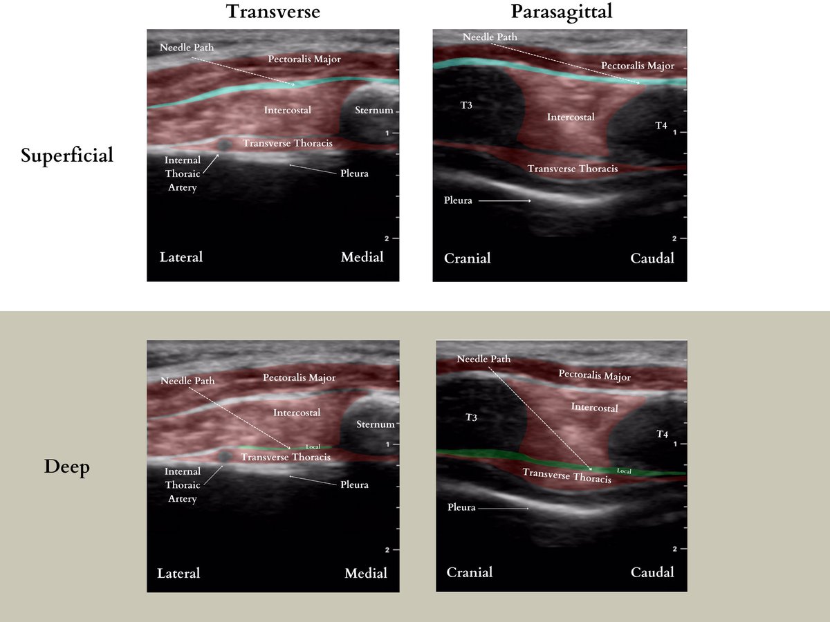 baby-blocks tweet media