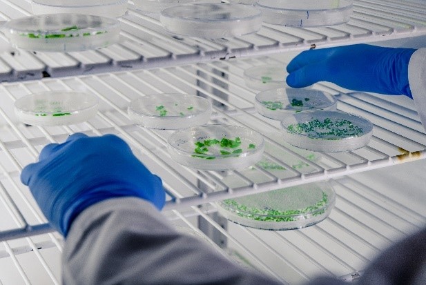 Cleanity_es's tweet photo. ¿Sabes lo fácil que es que tus superficies estén llenas de #biofilms?😲 Se forman en zonas con agua y nutrientes, además tienen una gran capacidad de protección. En #Cleanity ofrecemos soluciones para que te desprendas de ellos fácilmente.

Descúbrelas 👉 https://t.co/I7gVexAIEf https://t.co/7yFcL9nX7j