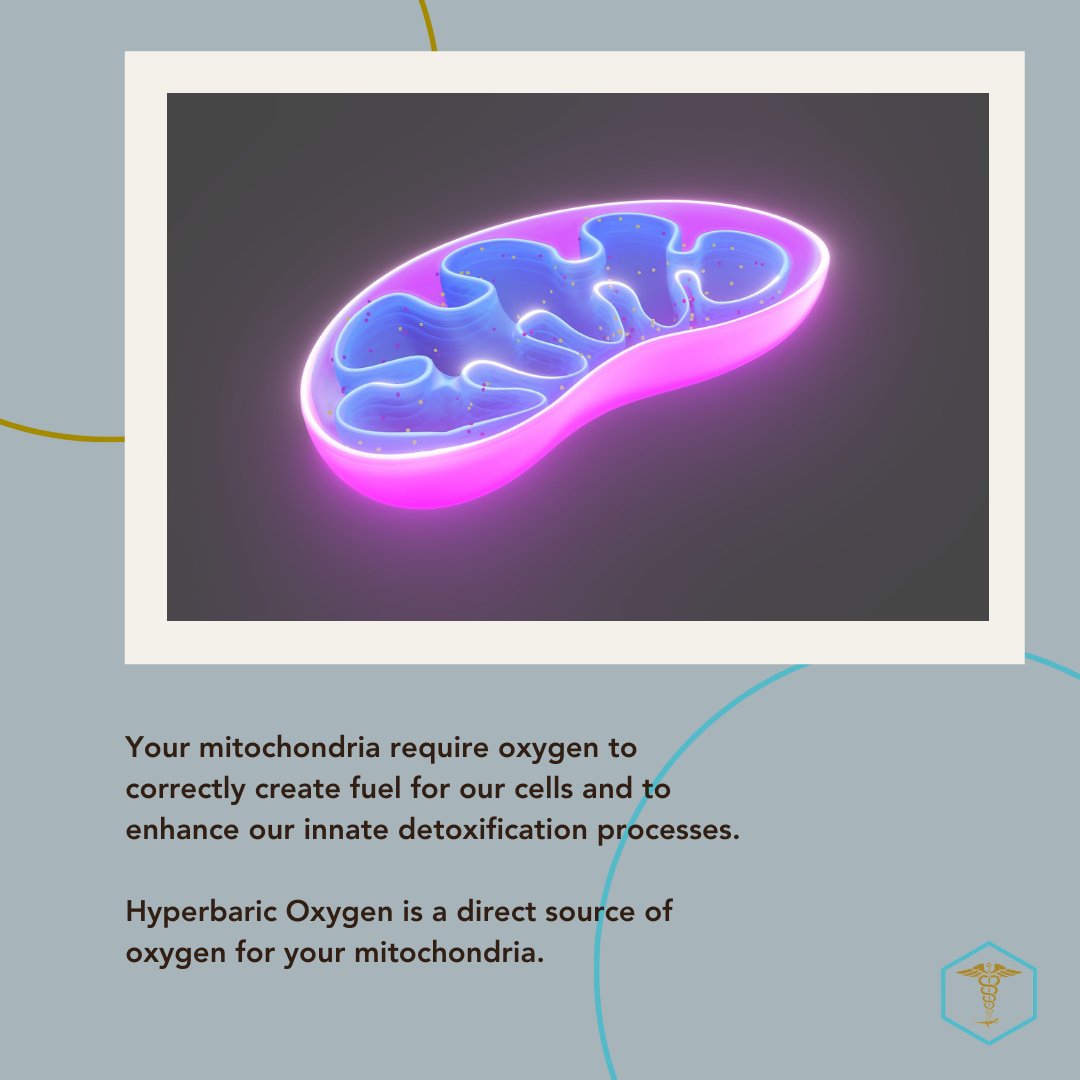 The Wellness Lab - Hyperbaric Oxygen tweet media