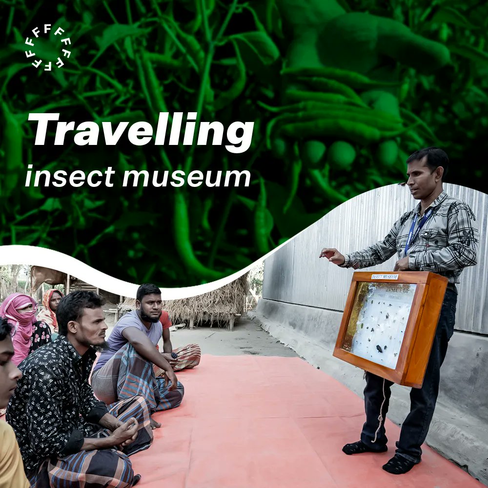 friendship_ngo's tweet photo. Travelling insect museums within glass & wooden boxes are shown communities, providing crucial information on which species are beneficial & which are pests.
#InsectMuseum #TravellingMuseum #PeopleHelpingPeople #Friendship #PovertyAlleviation #EmpoweringCommunities https://t.co/4ESONZkrbC