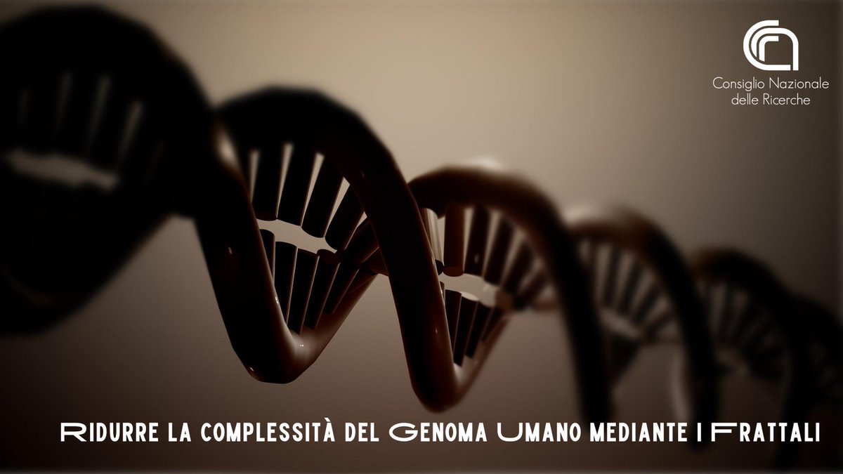 Ridurre la complessità del #genoma umano mediante i frattali
Un nuovo strumento per affrontare questa sfida arriva infatti dalla #matematica e permette di caratterizzare le variazioni individuali di tutte le popolazioni mondiali
Ricerca #Cnr e <a href="/UniPadova/">Università di Padova</a>👇
cnr.it/it/comunicato-…