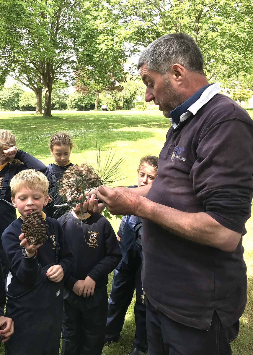 StEdsPrePrep's tweet image. Year 2 have been extending their learning about the trees in our grounds by listening to our own arborist Mr Wall. The children went on to name the trees independently in their next Forest School session! 🌳