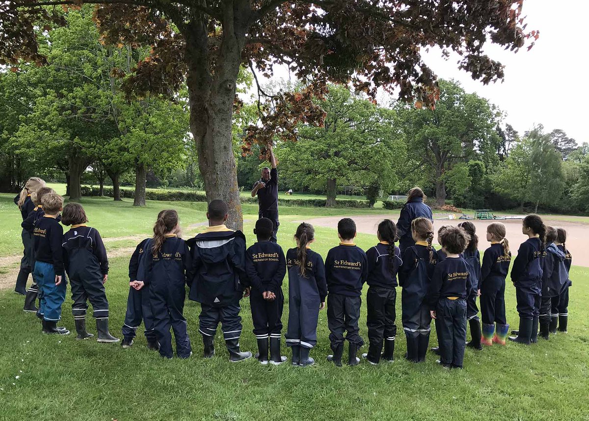 StEdsPrePrep's tweet image. Year 2 have been extending their learning about the trees in our grounds by listening to our own arborist Mr Wall. The children went on to name the trees independently in their next Forest School session! 🌳