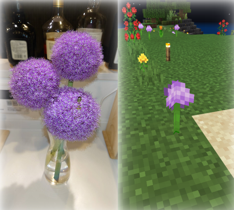 かーくん Games 妙に既視感のある花飾ってると思ったらアリウムだったｗ ちなみ正式名称はアリウム ギガンチウムらしい マイクラ アリウム T Co Bvtpjitl7h Twitter