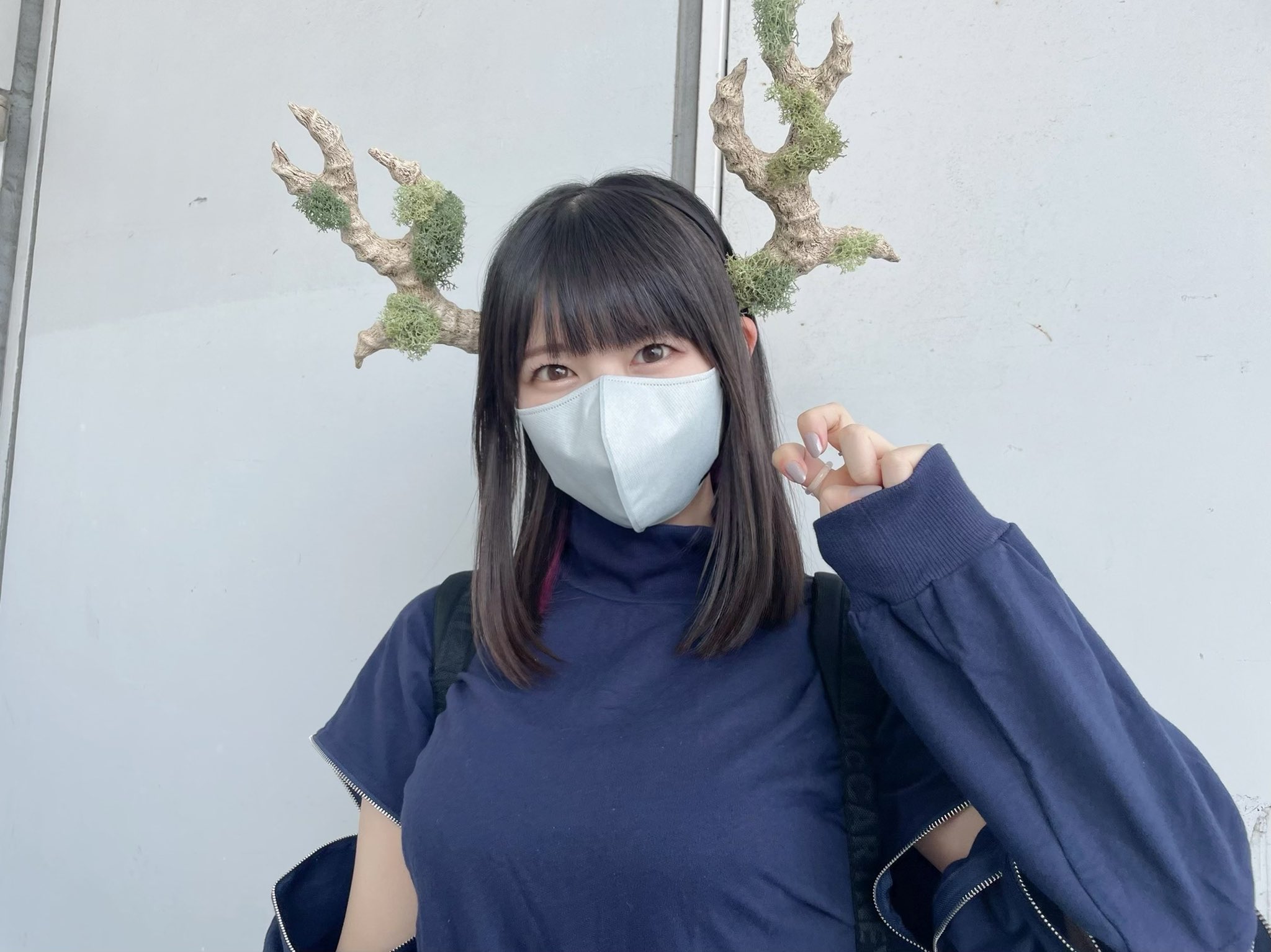 芝崎典子 on X: 