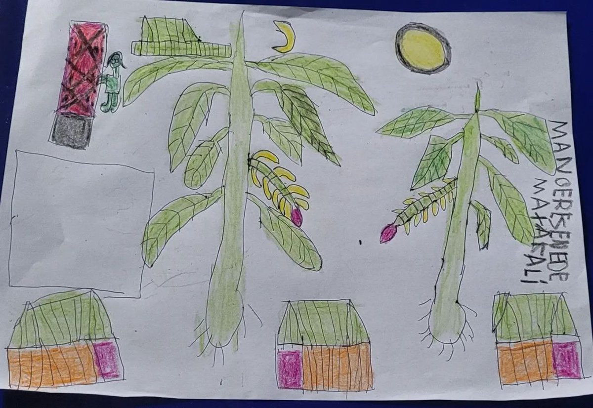 Desenhos que o povo Maxakali pintou na última formação em agroecologia no Terra Vista. Entre uma atividade e outra, Maxakali pegava lápis e papel para registar. 
📸 <a href="/DerivaJornal/">Deriva Jornalismo</a>