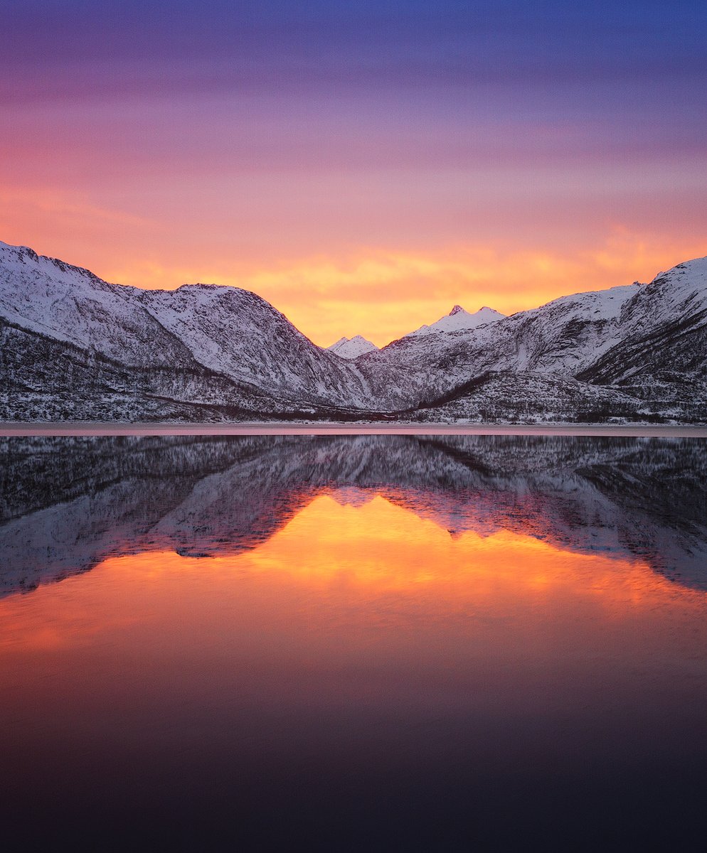 Felix 📷 tweet media