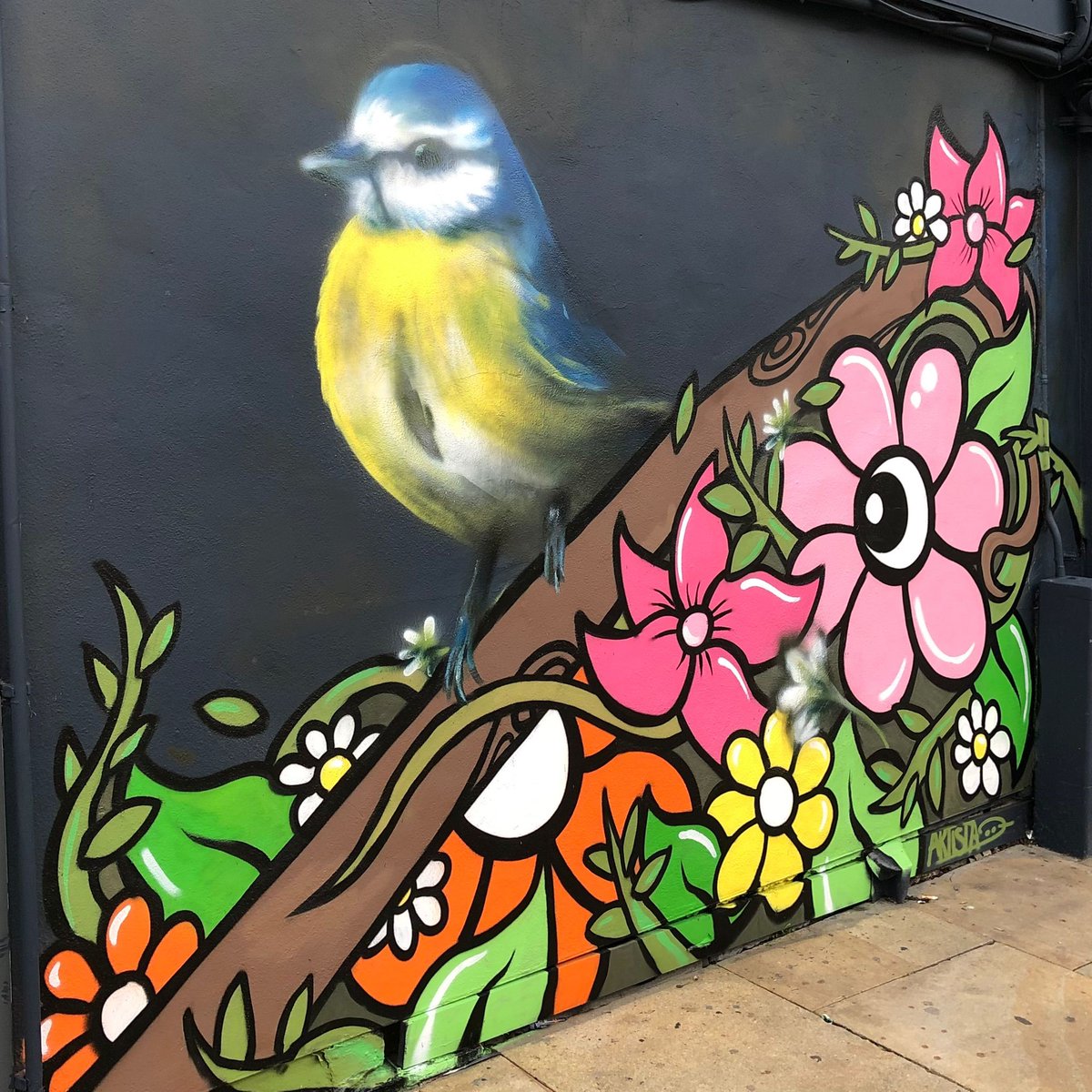 Today's fun fact Chelmsford - The Blue Tit is one of the most sighted birds in the area. ARTiSTA