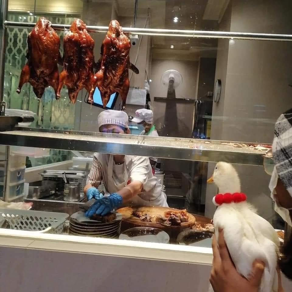 YOMMATOOD tweet media