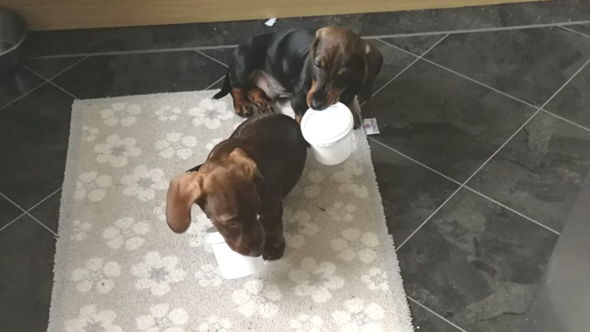 Delta Adhesives Ltd tweet media