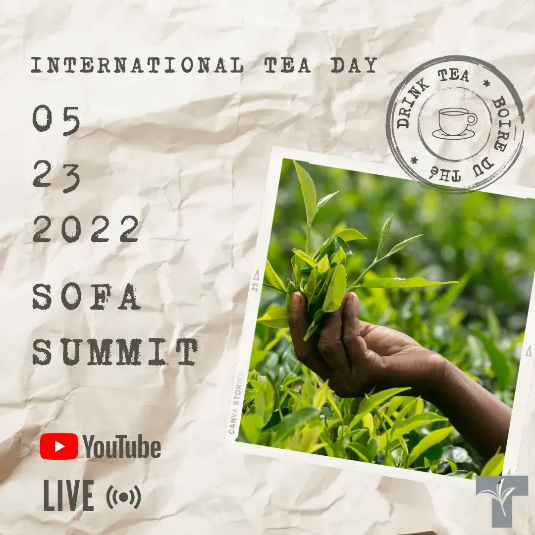 CanadaTea's tweet photo. #SofaSummit starts in 1 hour. Join us over on our YouTube channel. #BrewCrew #DrinkTea https://t.co/LKFxKwc4OX https://t.co/pVaNVhHwA7