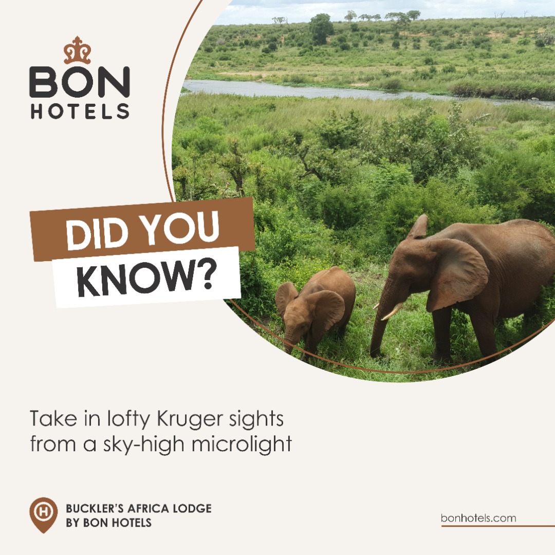 BONHotels's tweet photo. Activities galore are on offer when you check in at Buckler’s Lodge, but a popular choice remains the sight of the Kruger from on high. That’s right, get your game-viewing &amp; adrenaline fixes in tandem via our radical microlight safaris #BONHotels https://t.co/Bb6t2EXeoF