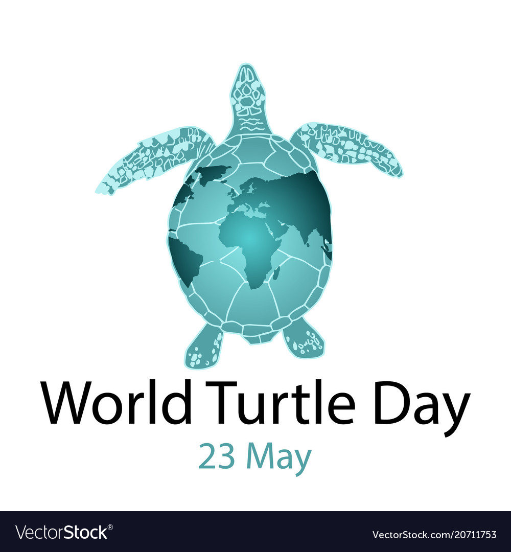 Happy World Turtle Day!
