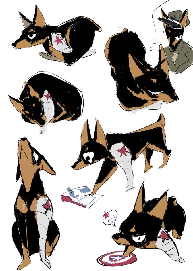 99ki2's tweet photo. #stucky 
doggie https://t.co/7lfY28kwCx