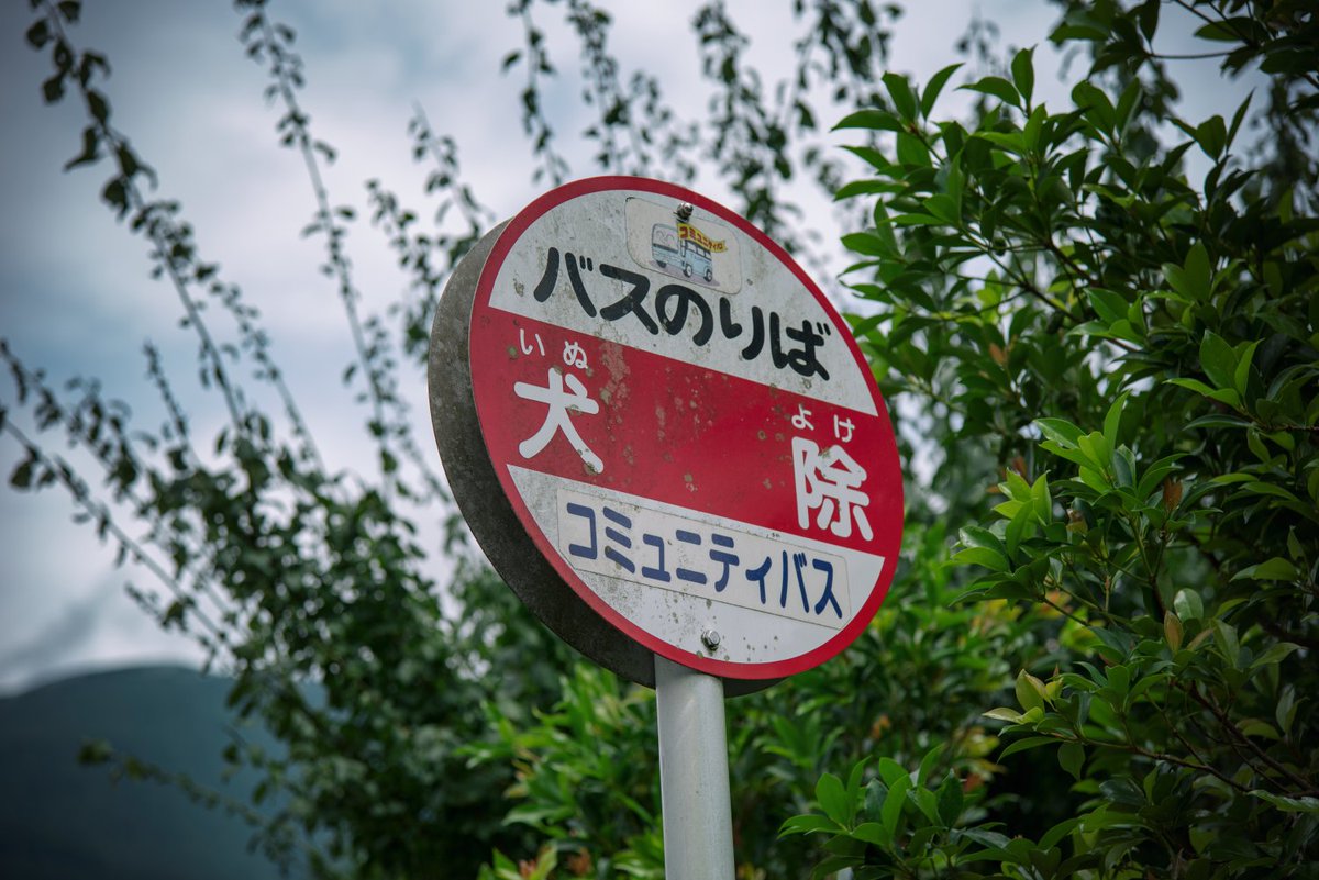 North_ern2's tweet photo. 犬神のイメージが強いからか、「犬」が付く地名にはなにかおどろおどろしい感じが漂う。愛媛県の犬除（いぬよけ）集落、福岡県にかつて存在した犬鳴村と犬鳴谷…。

…一方で、群馬県前橋市にはかつて「野良犬村」という場所がありました（初めて見たときさすがに「ﾝﾌｗ」って笑った） https://t.co/aReNkmntdv