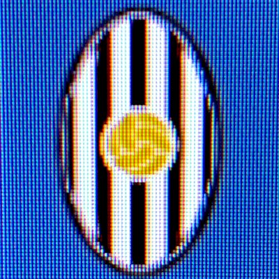 UniversitasFc's tweet photo. #NuevaFotoDePerfil https://t.co/ENU1A5PdfV