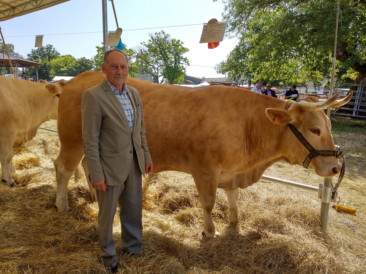 👉 César Dorado gana las elecciones de <a href="/acruga1/">acruga</a> en un proceso que superó el 90% de participación.

✅ Con este resultado, confirma su quinto mandato consecutivo al frente de la Asociación de Criadores de #Raza #RubiaGallega.

🔗 rfeagas.es/cesar-dorado-g…