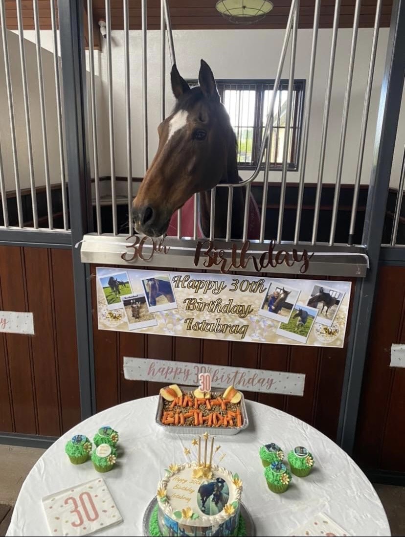 Happy 30th birthday to the legend Istabraq 💚💛

(📷 Facebook/Istabraq)