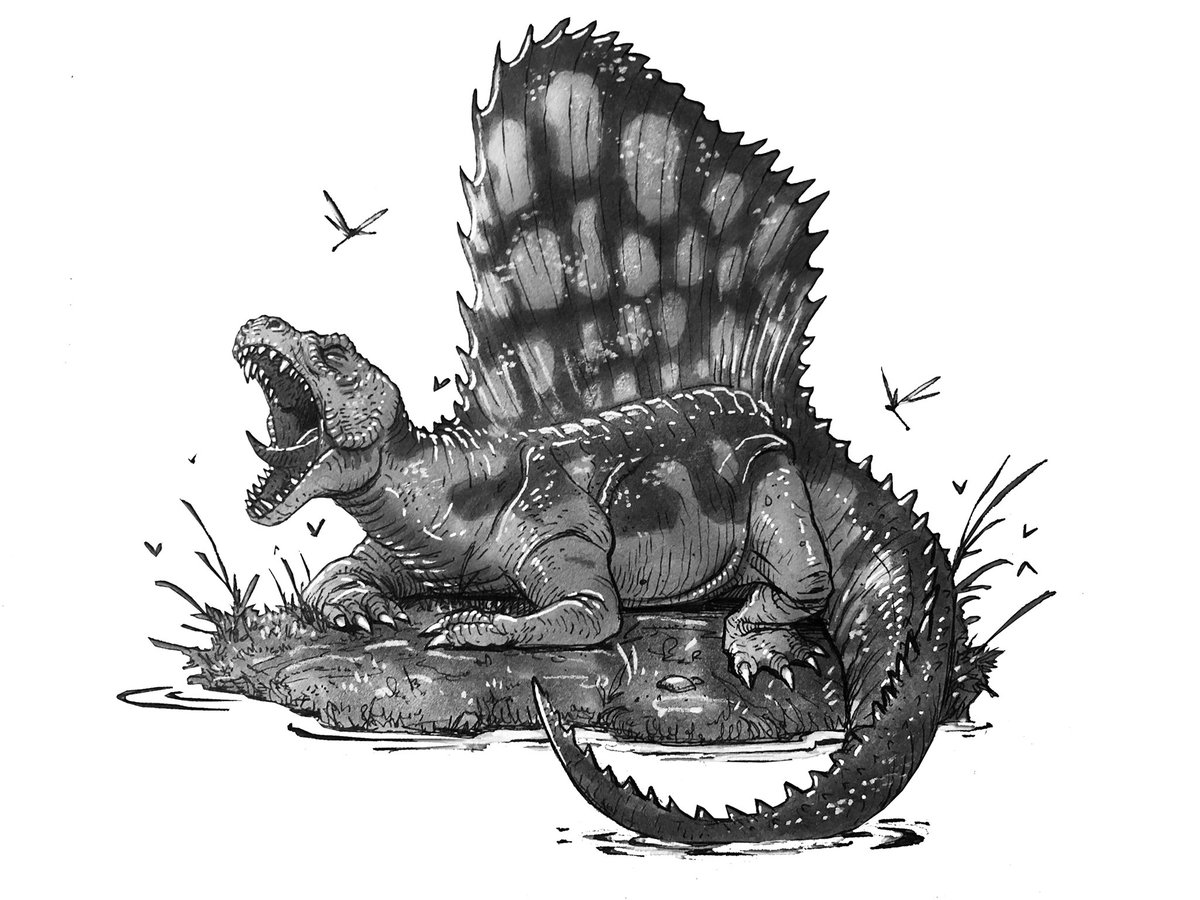 jpdeadislands's tweet photo. Ingen Dimetrodon - site C, 1984 🪨 Are you excited to see #dimetrodon in #JurassicWorldDominion ? #dinotracker #dinosaur #dinosaurs #paleontology #sketch #sketchbook #kenner #jurassicpark #prehistoric https://t.co/0v3KlvtNhx